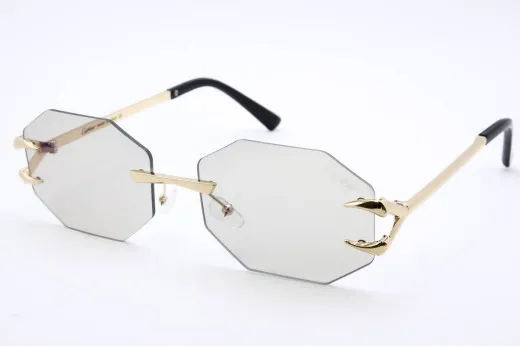  Хамелеон CAR 5013 C2