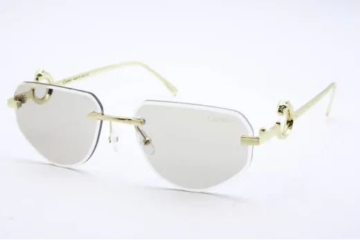  Хамелеон CAR 5018 C2