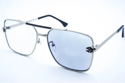 Car 2731 C1 Хамелеон