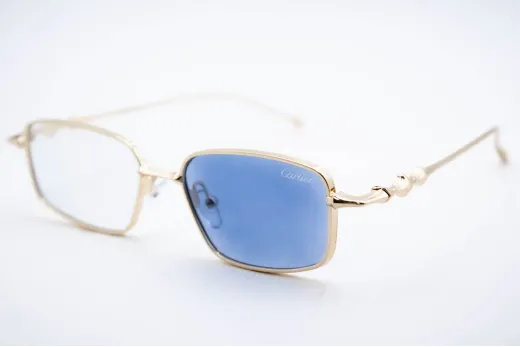 Хамелеон CAR 2568 C6