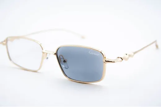 Хамелеон CAR 2568 C2