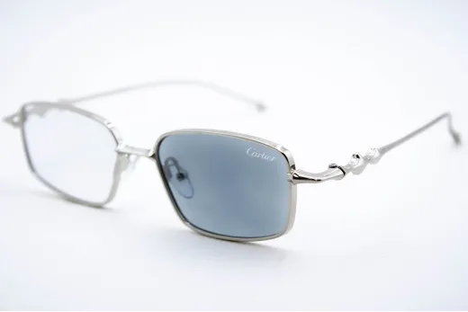 Хамелеон CAR 2568 C3