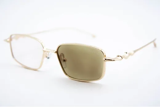 Хамелеон CAR 2568 C4