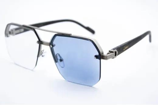 Хамелеон CAR 2574 C2