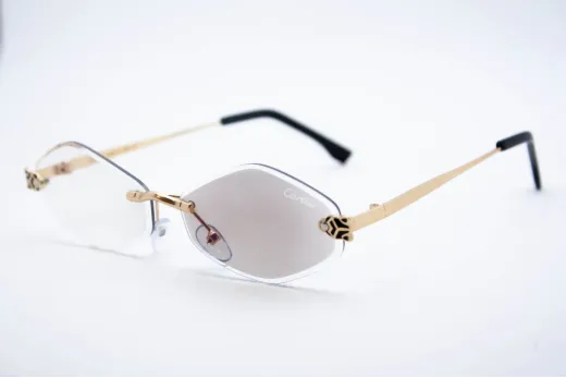 CAR 1228 C2 Хамелеон