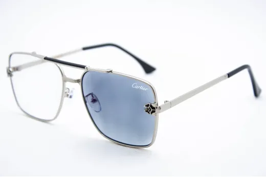 Car 2731 C4 Хамелеон