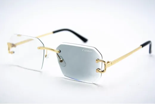  Хамелеон CAR 2830 C2