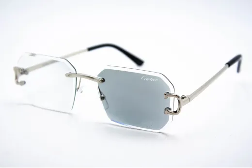  Хамелеон CAR 2830 C3