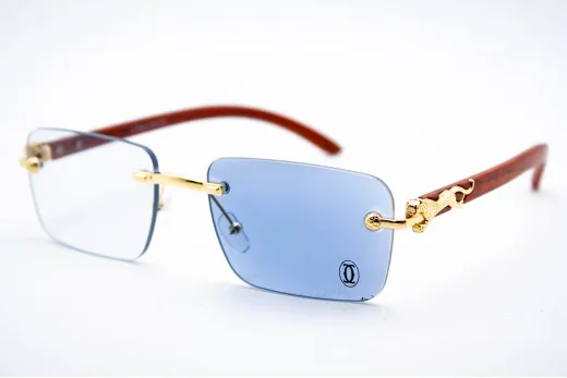  Хамелеон CAR 2831 C3