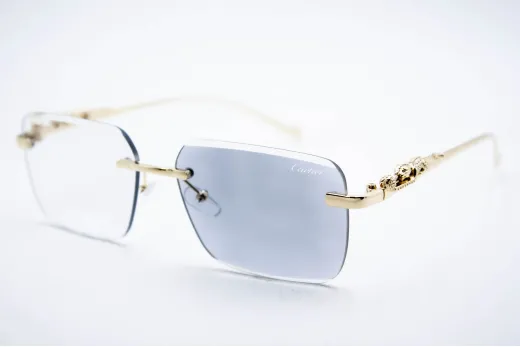 Car 0594 C1 Хамелеон