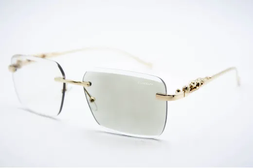 Car 0594 C2 Хамелеон