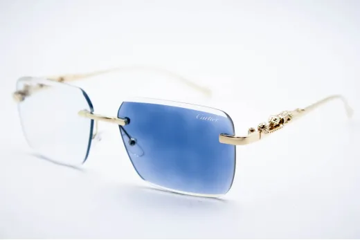 Car 0594 C3 Хамелеон