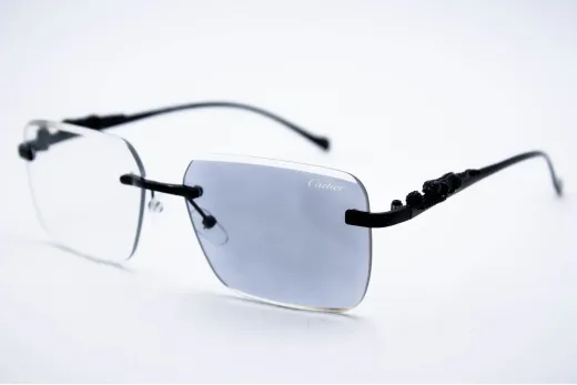 Car 0594 C4 Хамелеон