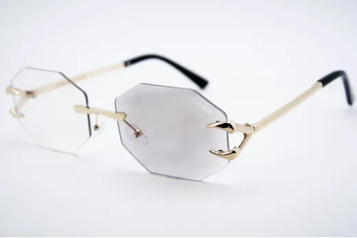 Car 565 C1 Хамелеон