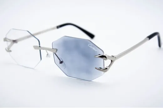 Car 565 C2 Хамелеон